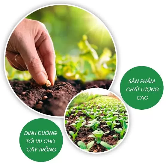 Tuyển Nhân Viên Văn Phòng