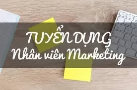 Tuyển Nhân Viên Marketing